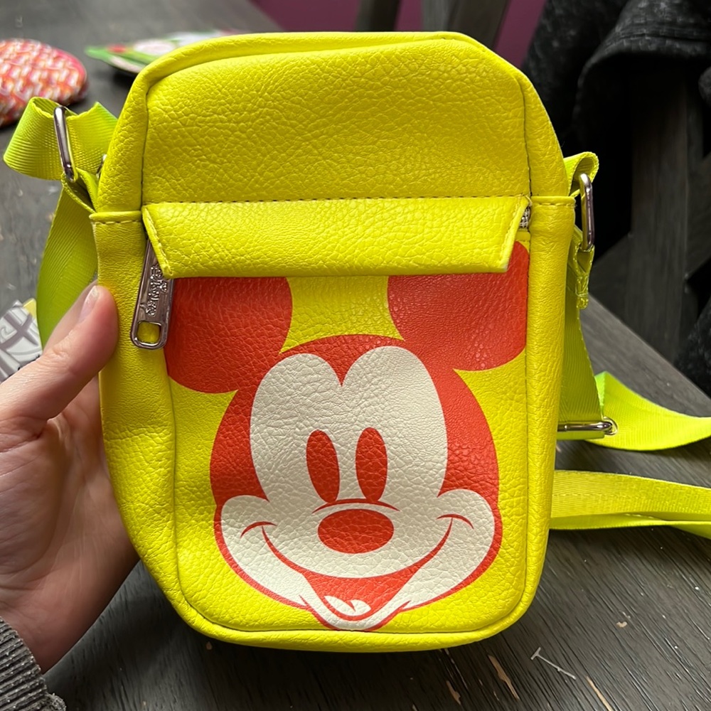 Holiday mickey bag